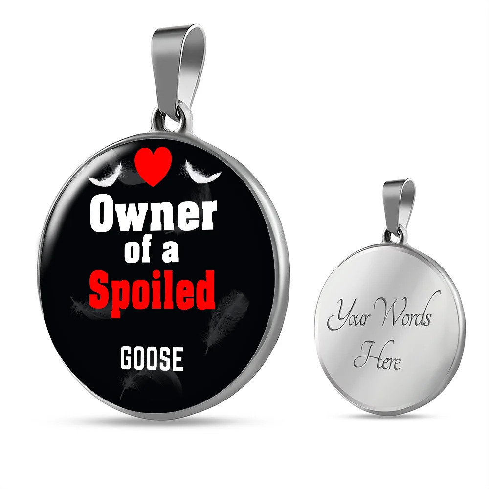 Goose Bird Owner Circle Pendant Necklace Stainless Steel 24 Inch Chain Silver T